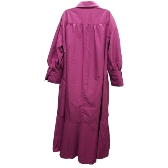 Shein Lantern Sleeve Asymmetrical Ruffle Hem Half Button Placket Dress - Picture 7 of 14